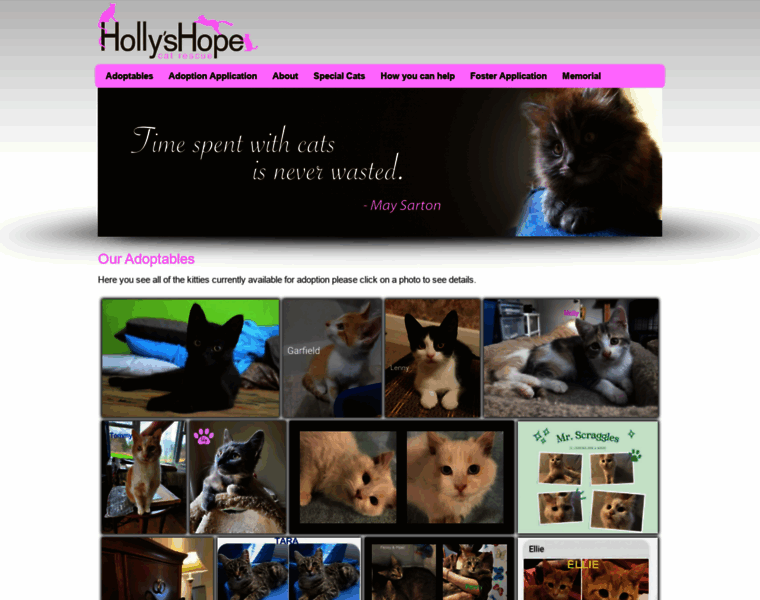Hollyshope.org thumbnail
