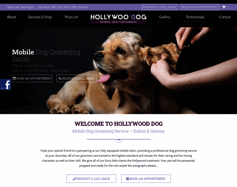 Hollywooddog.ie thumbnail