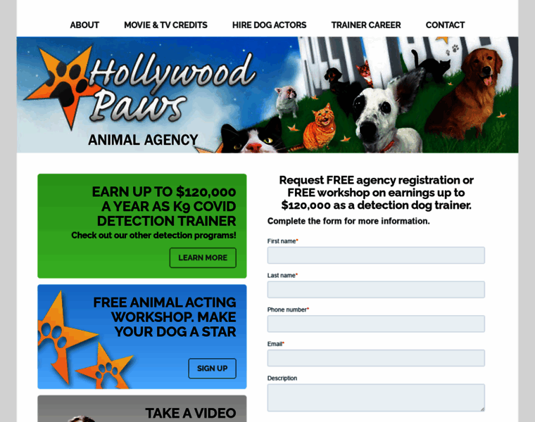 Hollywoodpaws.com thumbnail