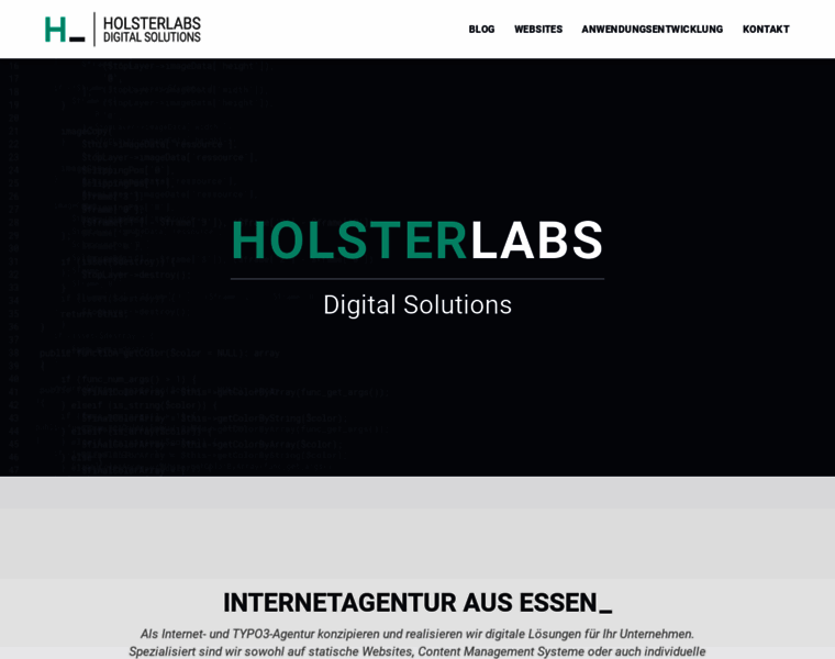 Holsterlabs.de thumbnail