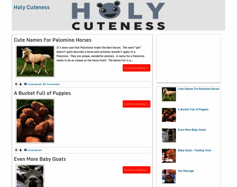 Holycuteness.com thumbnail
