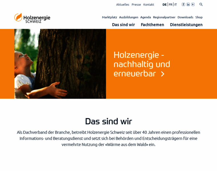 Holzenergie.ch thumbnail