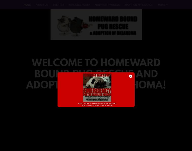 Homewardboundpugs.com thumbnail