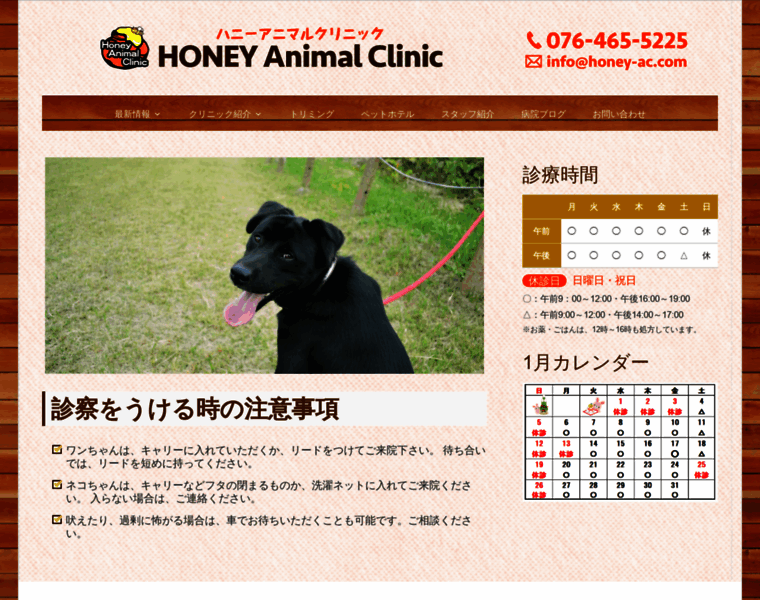 Honey-ac.com thumbnail
