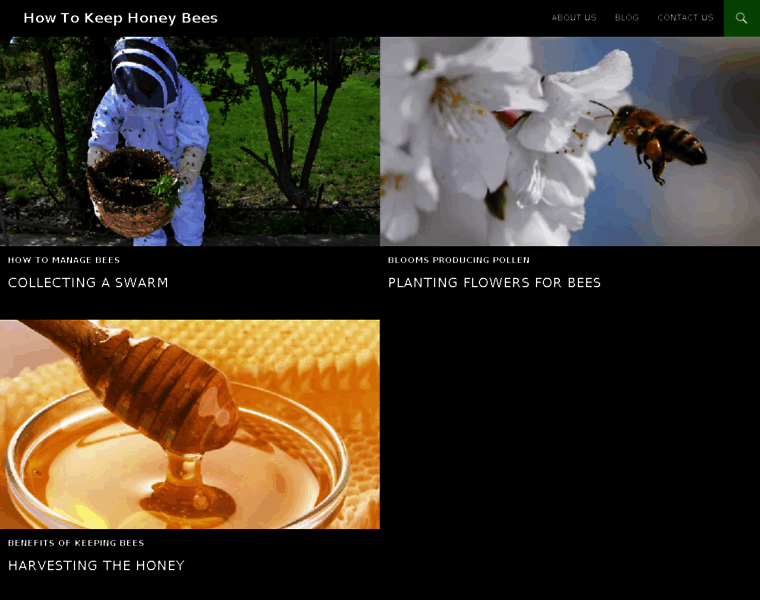 Honeybeeclub.com thumbnail