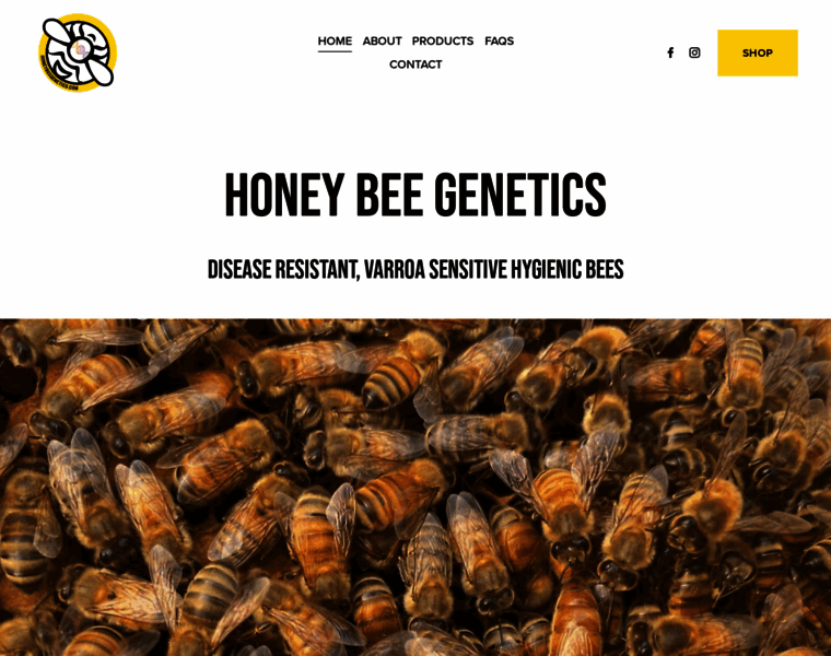 Honeybeegenetics.com thumbnail