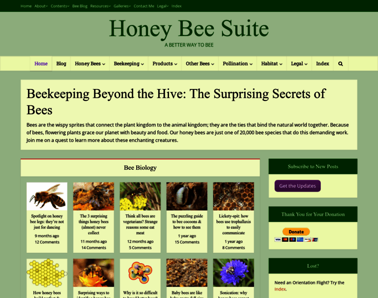 Honeybeesuite.com thumbnail