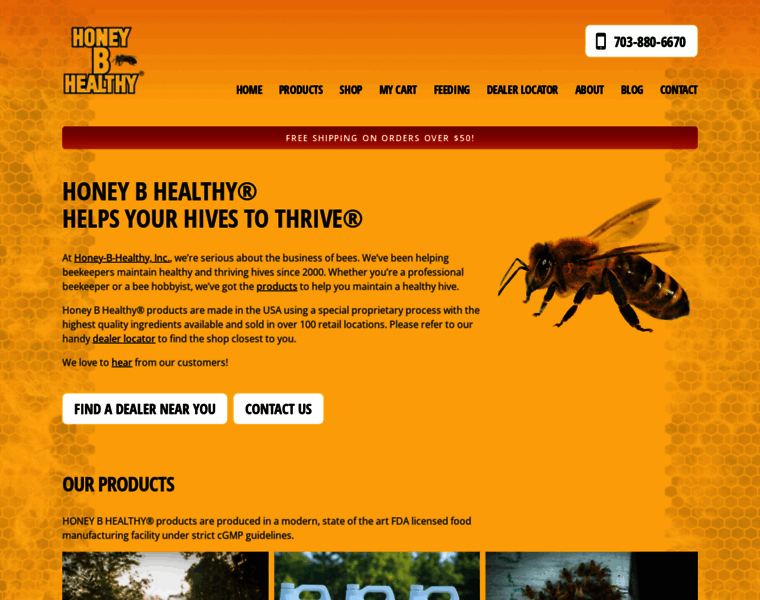 Honeybhealthy.com thumbnail