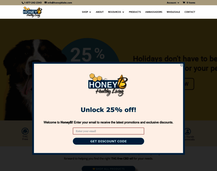 Honeybhealthyliving.com thumbnail