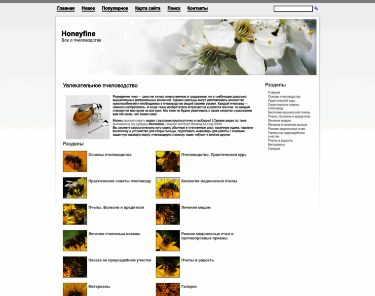 Honeyfine.ru thumbnail
