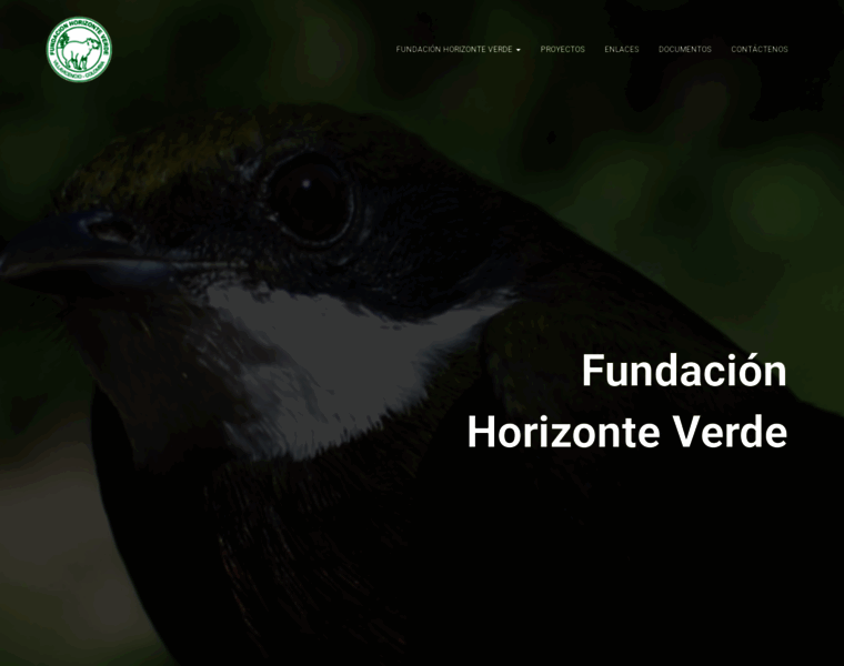 Horizonteverde.org.co thumbnail