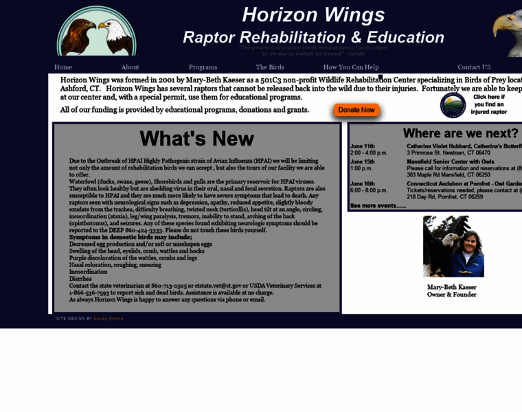 Horizonwings.org thumbnail