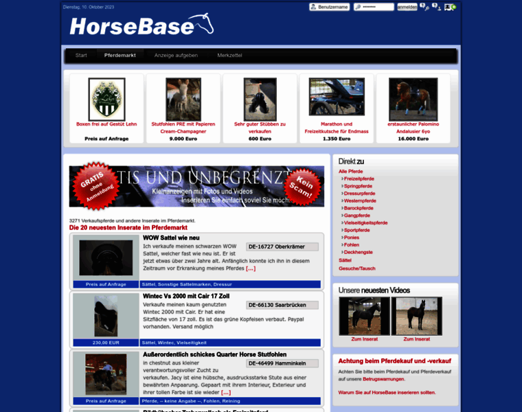 Horsebase.com thumbnail