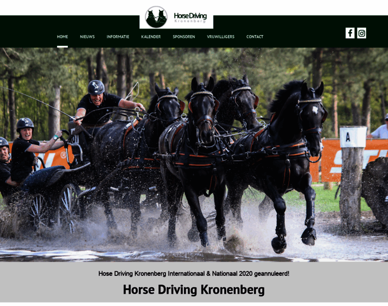 Horsedrivingkronenberg.nl thumbnail