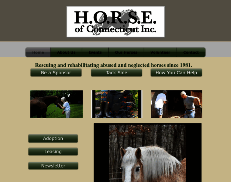 Horseofct.org thumbnail