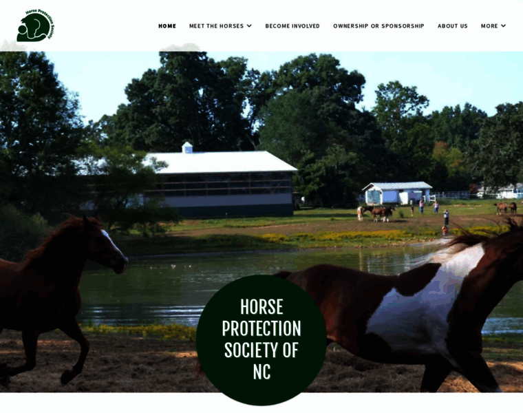Horseprotection.org thumbnail