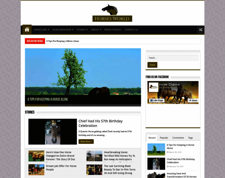 Horses-world.com thumbnail