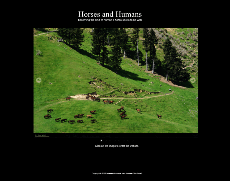 Horsesandhumans.com thumbnail