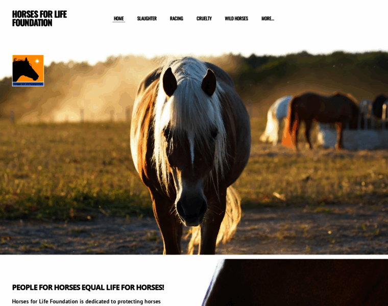 Horsesforlife.org thumbnail