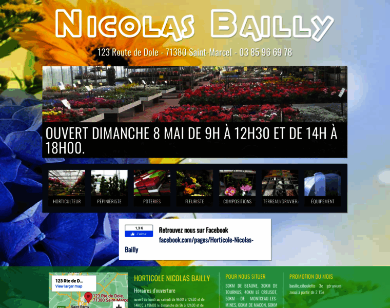 Horticole-nicolasbailly.com thumbnail