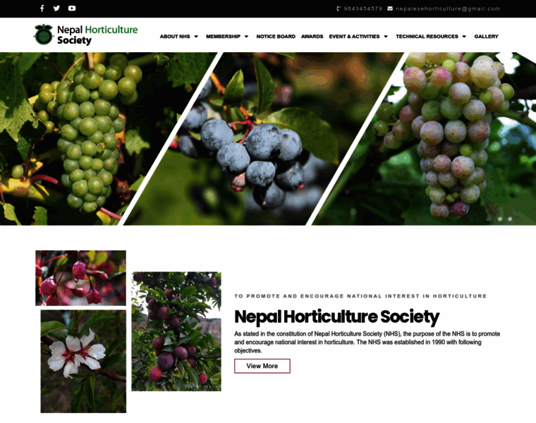 Horticulturenepal.org thumbnail