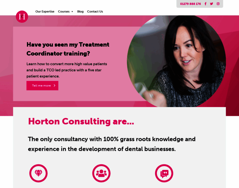 Horton-consulting.com thumbnail