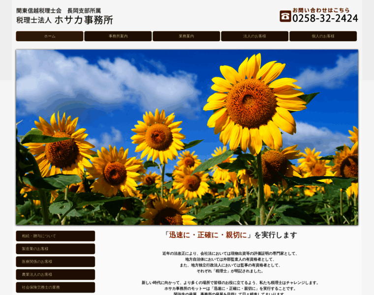 Hosaka-tax.com thumbnail