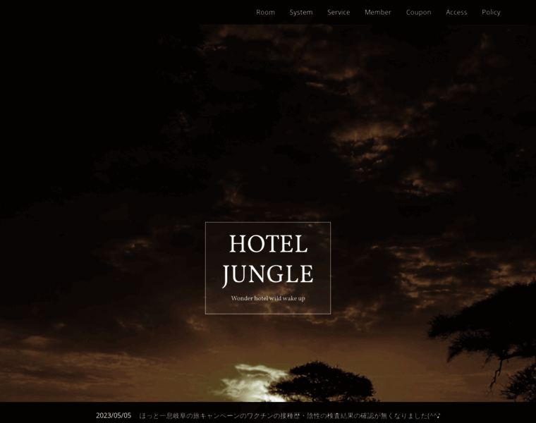 Hotel-jungle.com thumbnail