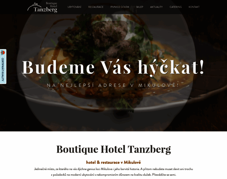 Hotel-tanzberg.cz thumbnail
