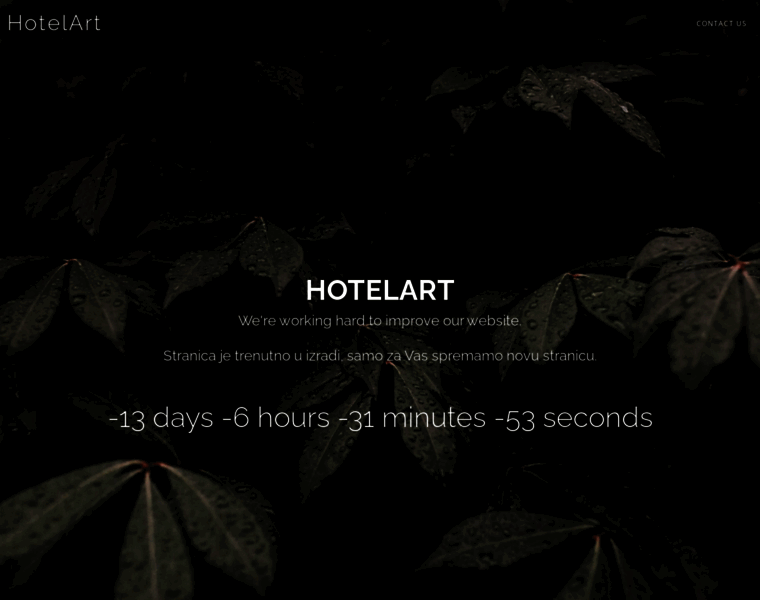 Hotelart.ba thumbnail