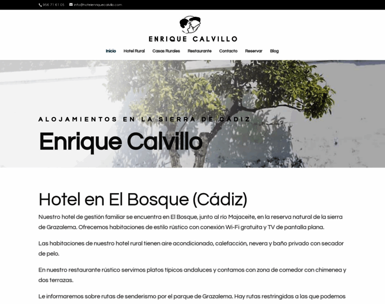 Hotelenriquecalvillo.com thumbnail