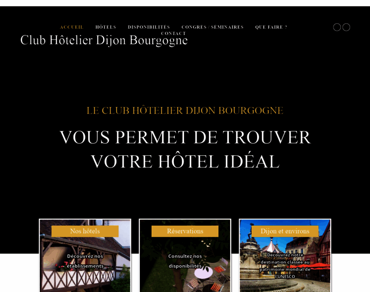 Hotels-dijon-bourgogne.com thumbnail