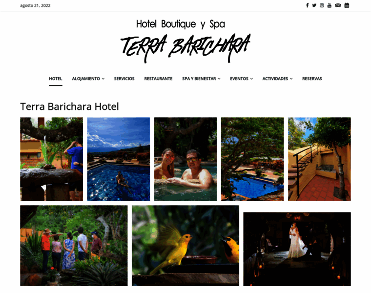 Hotelterrabarichara.travel thumbnail