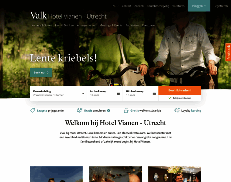 Hotelvianen.nl thumbnail
