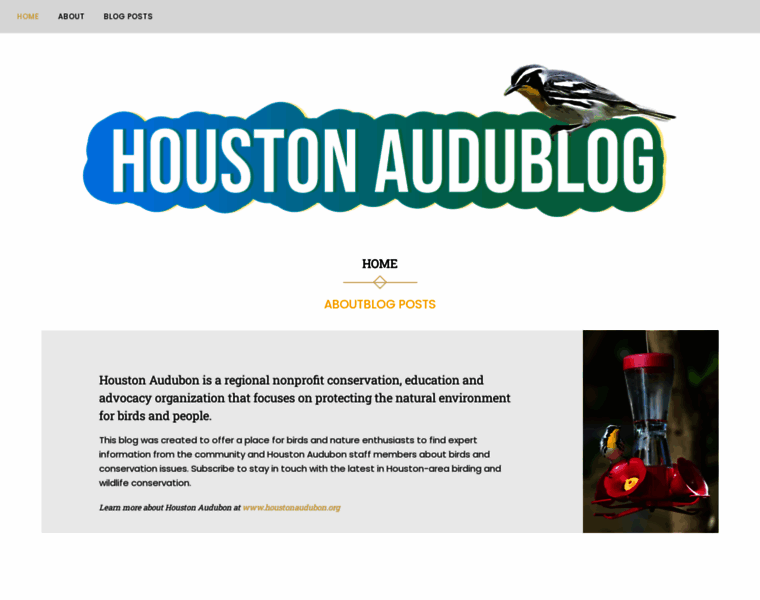 Houstonaudublog.org thumbnail