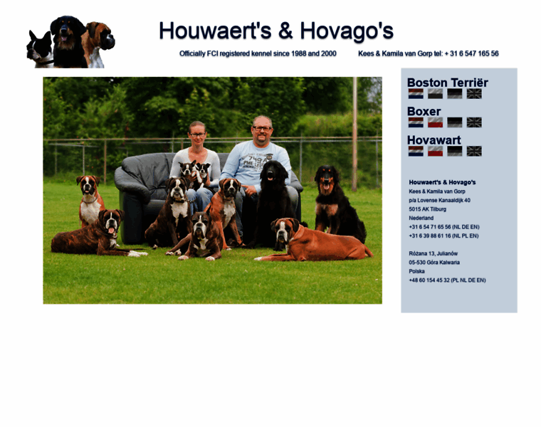 Hovawart.nl thumbnail