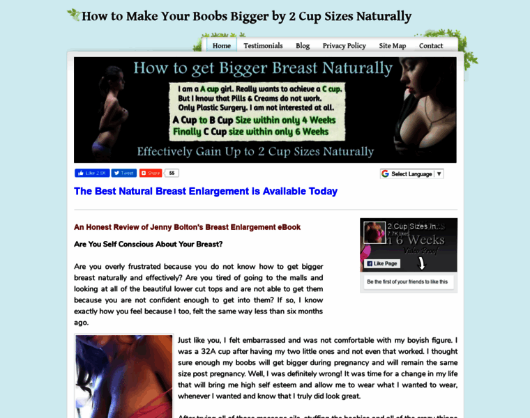 How-to-enlarge-breast.com thumbnail