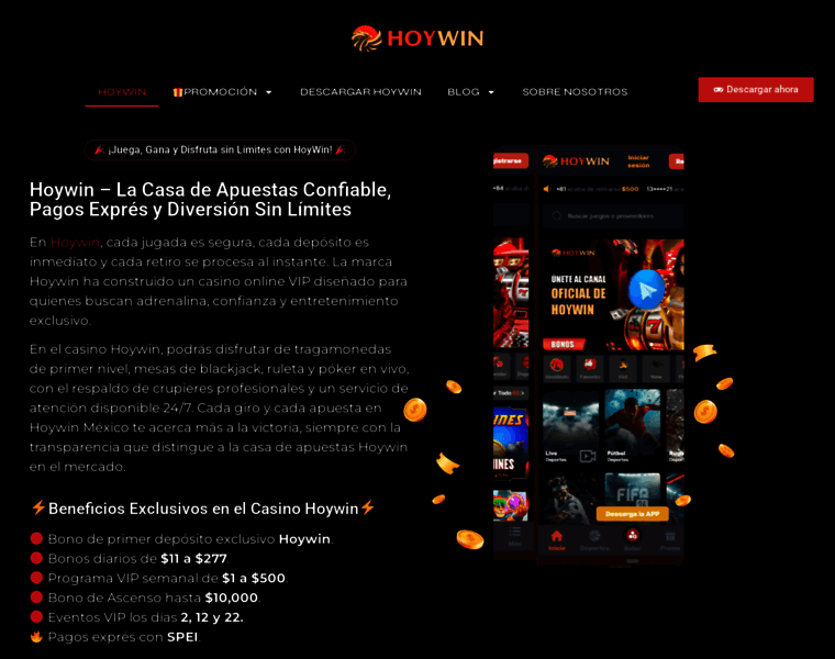 Hoywins.com thumbnail