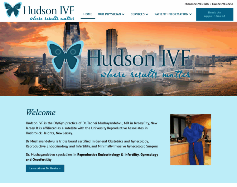 Hudsonivf.com thumbnail