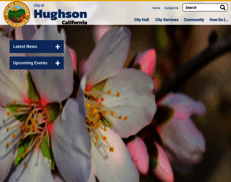 Hughson.org thumbnail