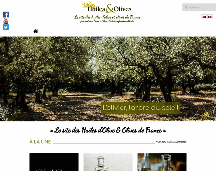 Huiles-et-olives.fr thumbnail