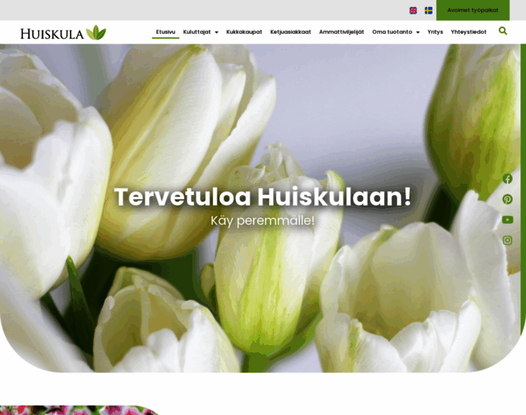 Huiskula.fi thumbnail