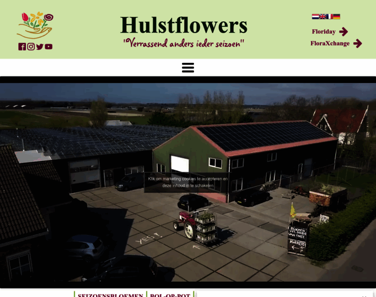 Hulstflowers.com thumbnail