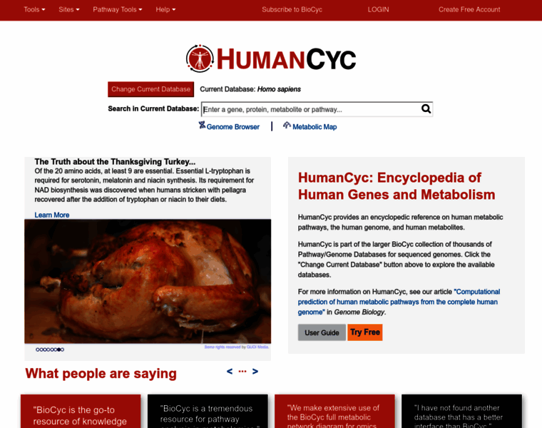 Humancyc.com thumbnail