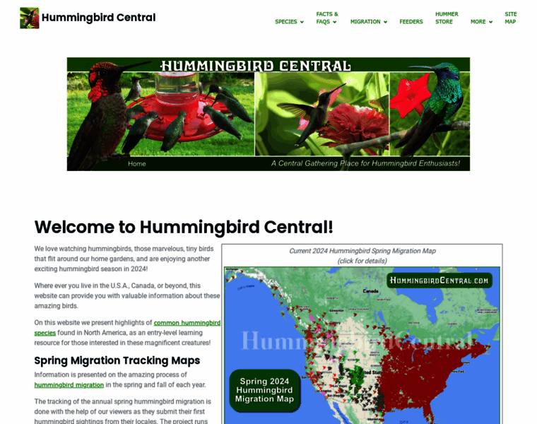 Hummingbirdcentral.com thumbnail