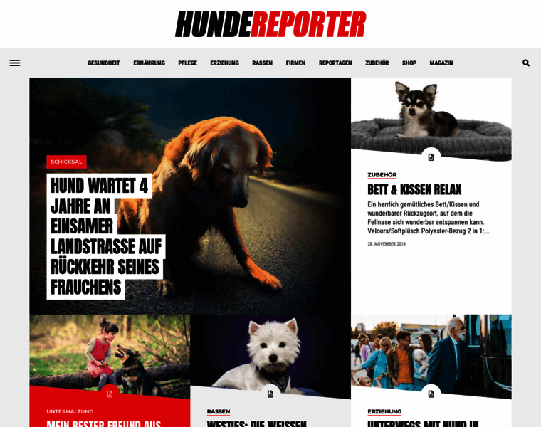 Hunde-reporter.de thumbnail