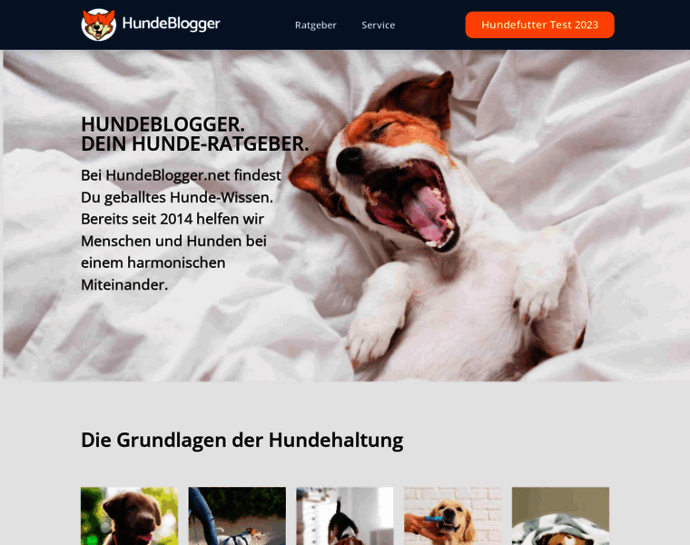 Hundeblogger.net thumbnail