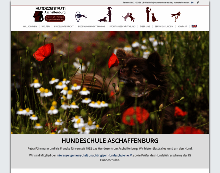 Hundeschule-aschaffenburg.de thumbnail