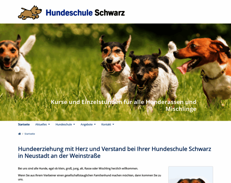 Hundeschule-schwarz.com thumbnail
