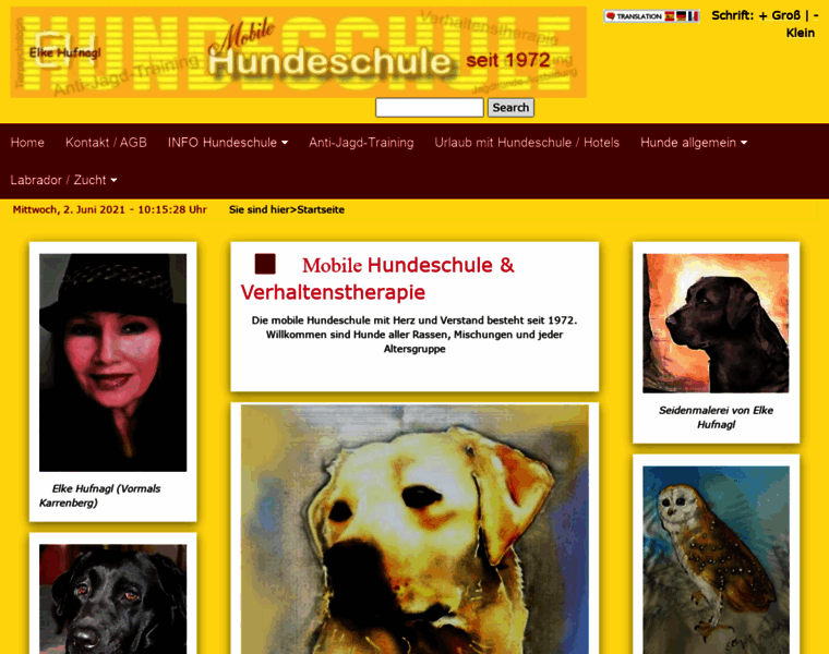 Hundeschule-und-labrador.de thumbnail
